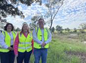 Member for Paterson Meryl Swanson, member for Maitland and minister for Regional Transport and Roads Jenny Aitchison and Maitland mayor Philip Penfold with Melville Ford Bridge in the background. Picture by Chloe Coleman
