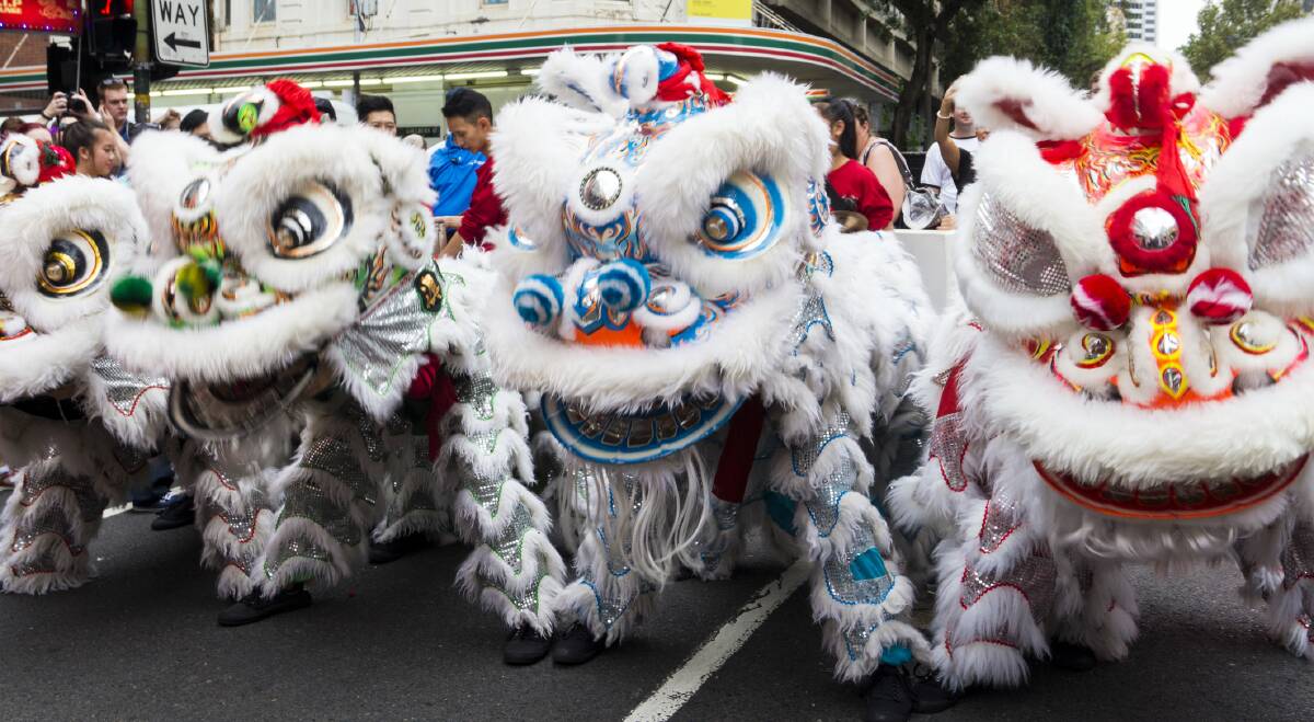 Celebrations throughout Australia: Dancing, music and wearing colourful costumes are all part of welcoming in the New Year. Featured is a traditional dragon dance performed in Sydney's Chinatown.