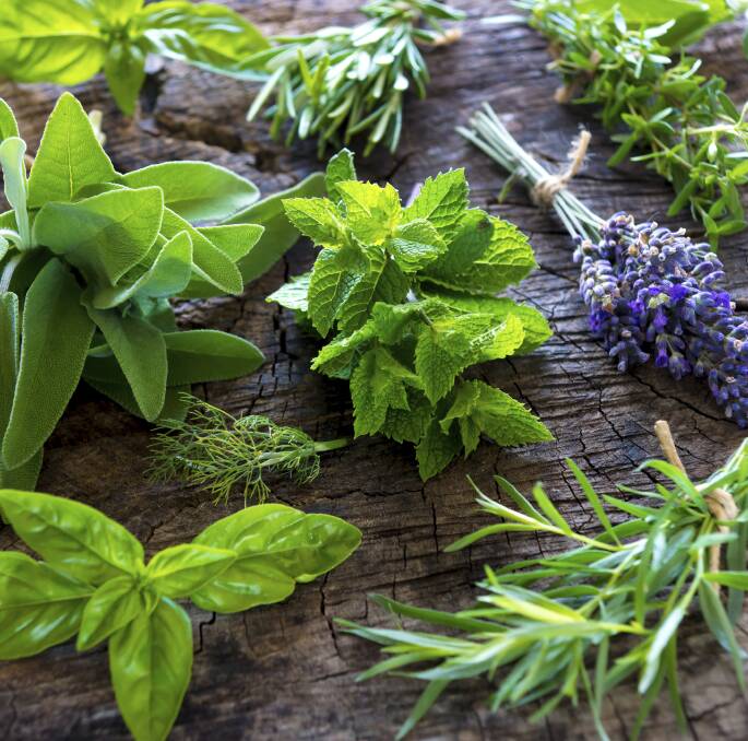 HELPFUL HERBS: In addition to boosting the flavour of foods, herbs are extremely beneficial in companion planting particularly when it comes to repelling pests. They can also help improve yields.