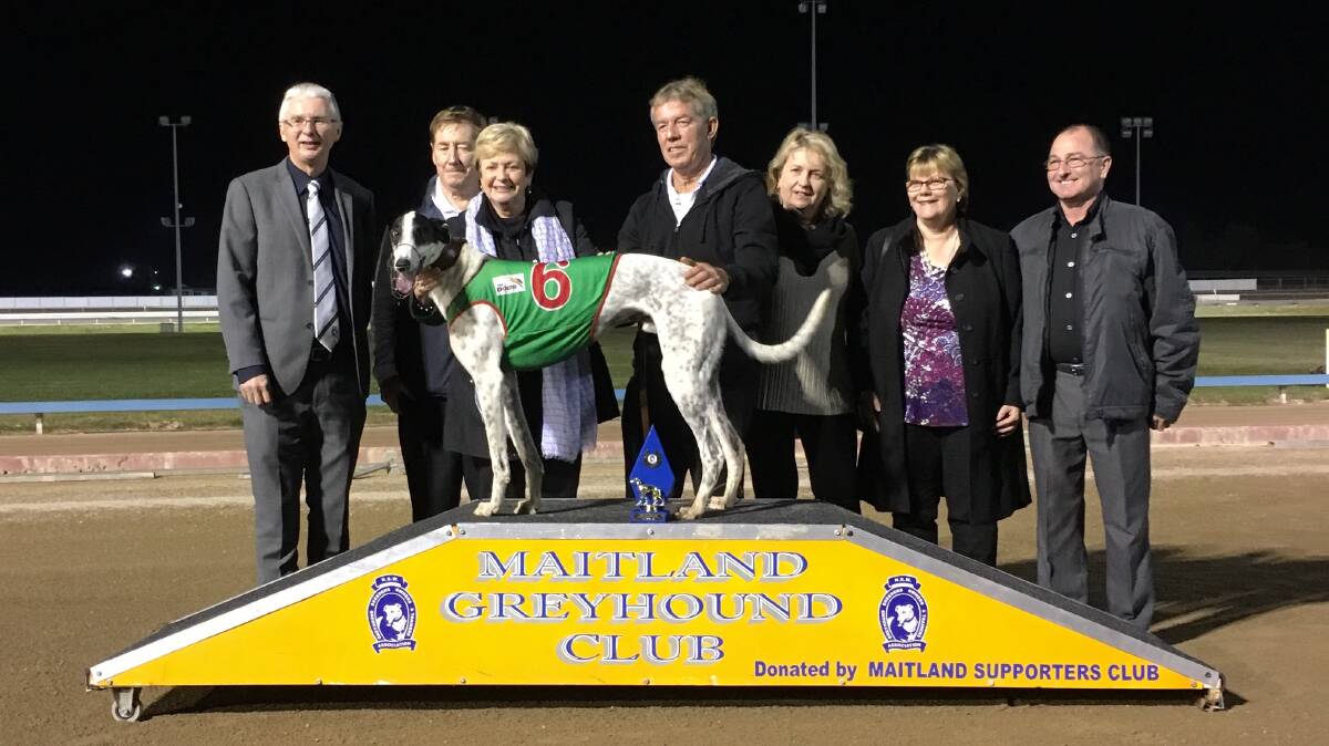 SUCCESSFUL TRIP: Maitland Greyhound Club manager Tony Edmunds, NSW GBOTA director Gary Minter and race day sponsors with trainer Steven Delaney and Telarah Remember When Final winner Chase Delaney.
x
x