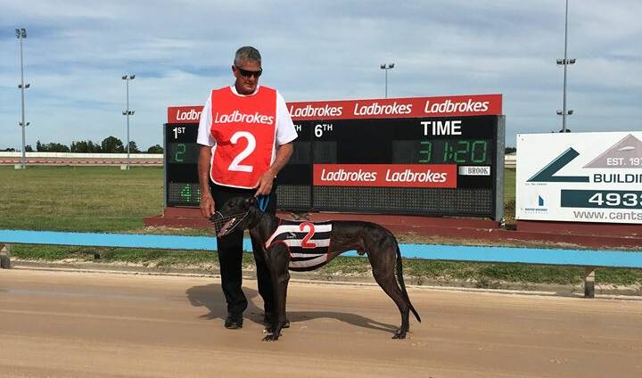 TRACK RECORD: Robert Smith with Lochinvar Hugo after breaking his own 565 metre track record at Maitland on Thursday afternoon.