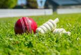 12 clubs from four LGAs in Maitland junior cricket semi-finals