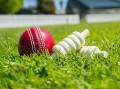 12 clubs from four LGAs in Maitland junior cricket semi-finals