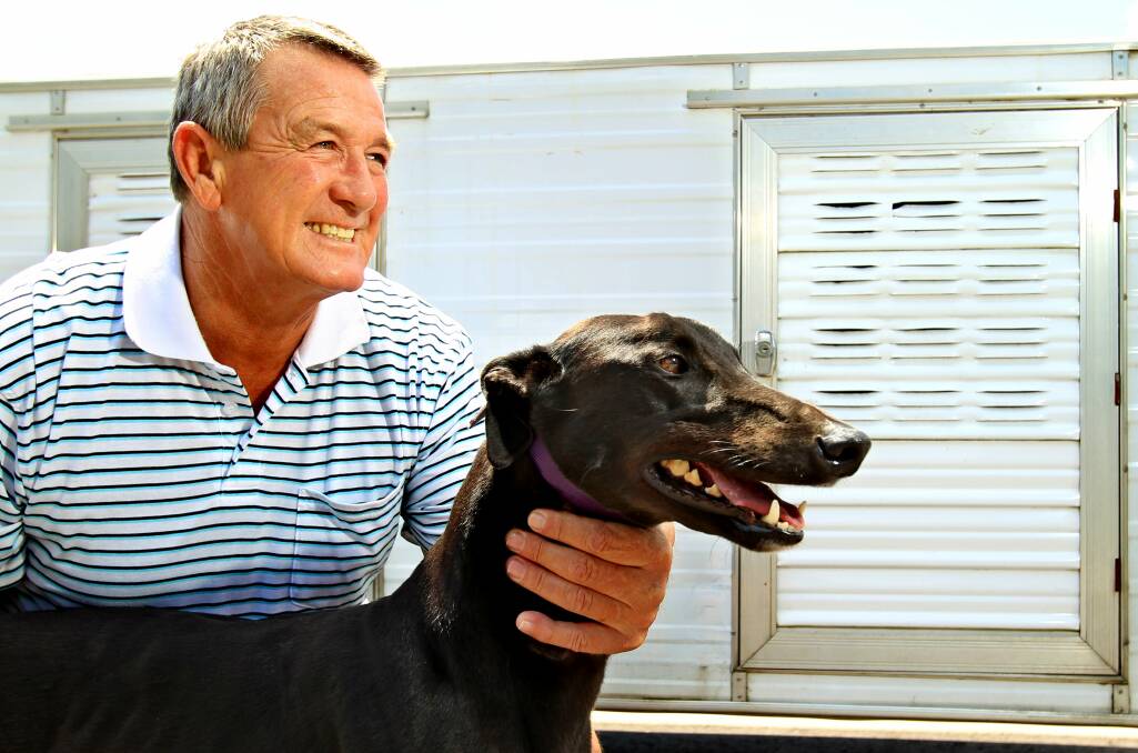 STRONG CONTINGENT: Trainer Robert Smith has several strong chances at the Maitland Greyhound Club's meeting on Thursday.