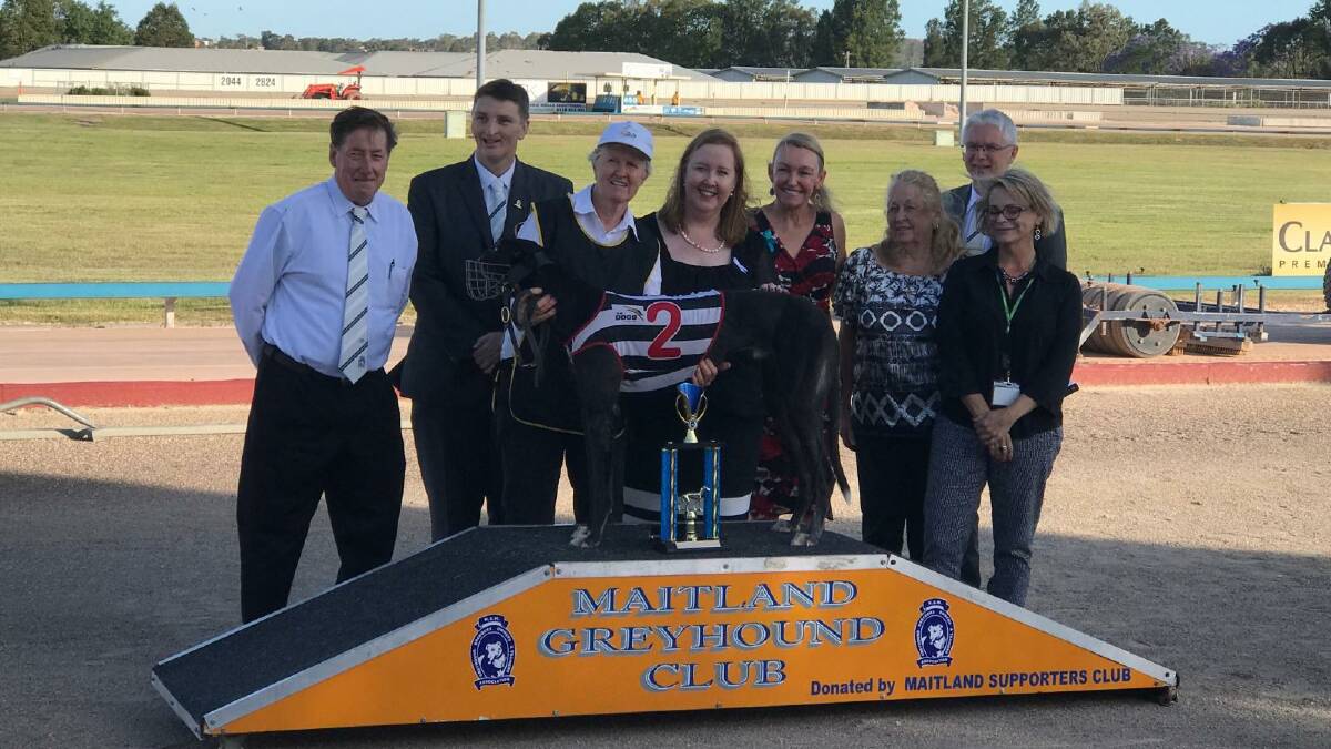 BACK ON TRACK: NSW GBOTA Hunter directors Gary Minter and Brad Sabotic, trainer Betty Keene with race winner Task Force, Maitland MP Jenny Aitchison, Wallsend MP Sonia Hornery, Maitland Greyhound Supporters Club member Margaret Enright, Maitland Greyhound Club manager Tony Edmunds and Maitland Mercury editor Eve Nesmith trackside for the presentation of the Jenny Aitchison Appreciation Trophy Stakes at Maitland on Thursday.