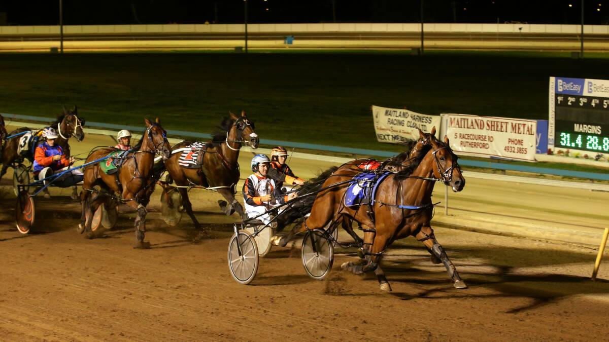 RICH HISTORY: This year's Inter City Pace will the 55th staging of the event at Maitland Showground.