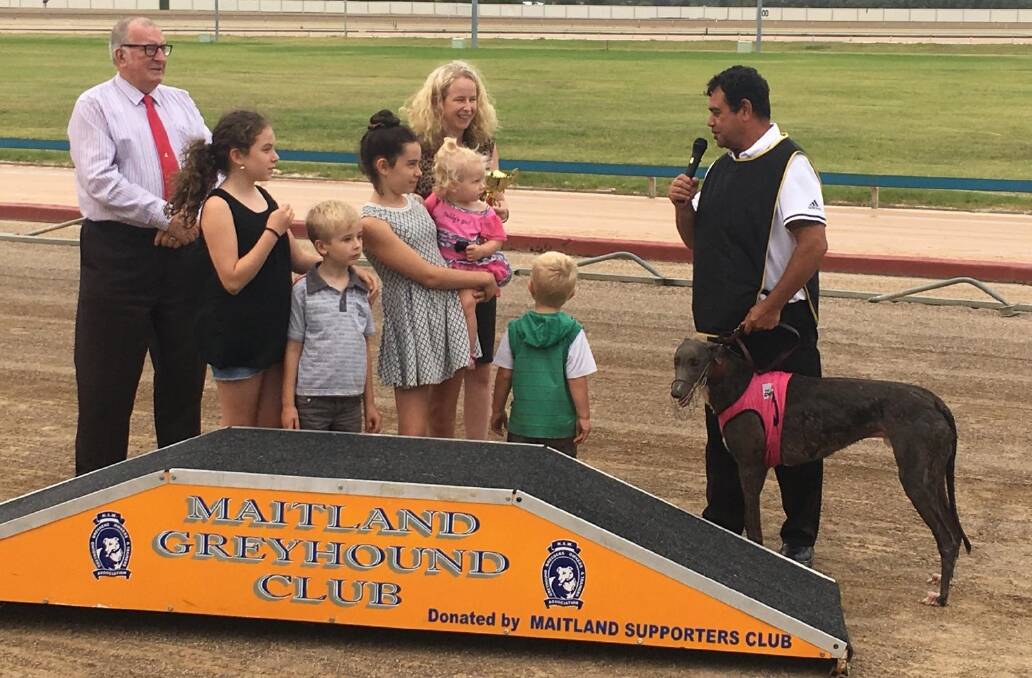 CUP WINNER: Maitland Greyhound Club sponsorship and promotions manager Fred Robertson and the connections from Approved Fire Gear present the Summer Cup to Swan Bay trainer Charlie Lamb and his dog Two Blue.