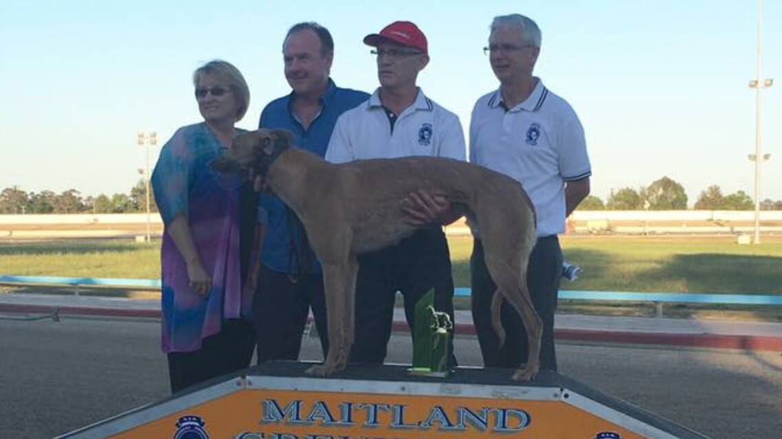 BIG WIN: Maitland District Leagues Club representatives Sue and Neil Martin and Maitland Greyhound Club manager Tony Edmunds with Maitland Business Houses Final winner Ben Hur and trainer George Borg.