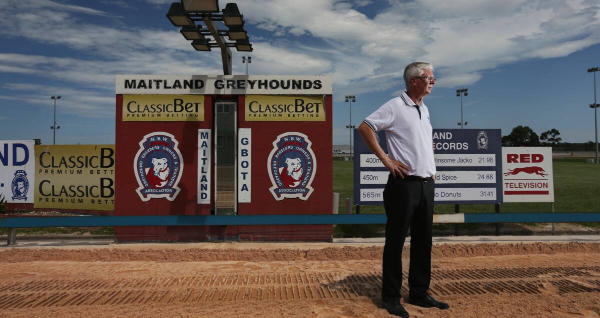 JOB DONE: Maitland Greyhounds manager Tony Edmunds examines the Maitland Showground track after repairs over the past two days. Picture: Simone De Peak