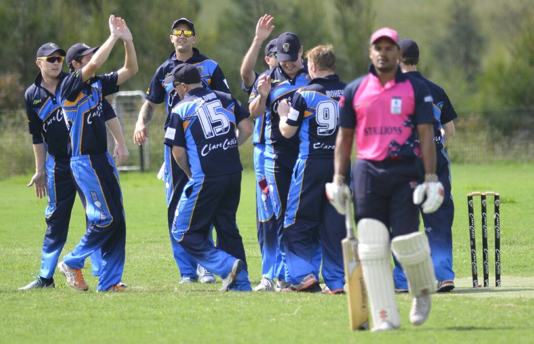 TITLE HUNT: Port Stephens players celebrate the fall of a wicket in last year's grand final win against Windsor Castle. Picture: Michael Hartshorn