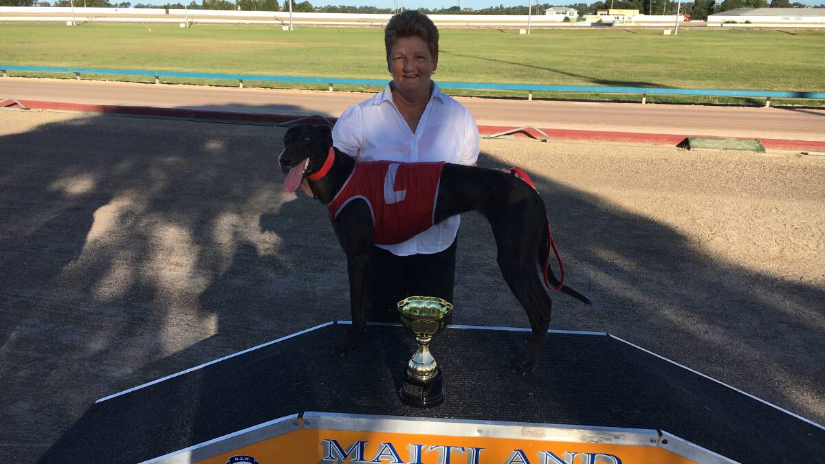 THIRD TIME LUCKY: Kings Park owner-trainer Cheryl Betts with Tiny Terror after winning the Showtime Cup at Maitland on Thursday afternoon.