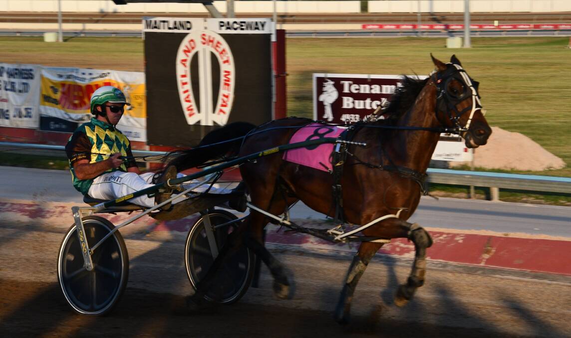 Trainer/driver Brad Hewitt's Our Triple Play set a track record winning the Inter City Pace second heat. Picture: Michael Hartshorn