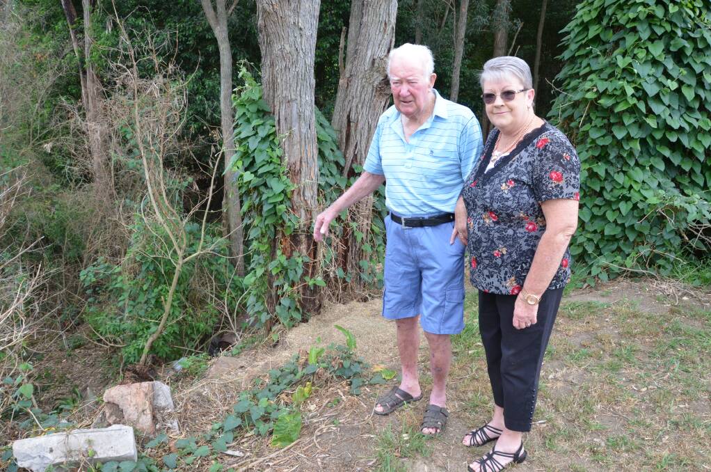 BACK AT THE SCENE: Lionel Blatherwick and his daughter Brenda Waugh at the embankment in Tenth Street, Weston where he fell on the night of September 25. Picture: Krystal Sellars