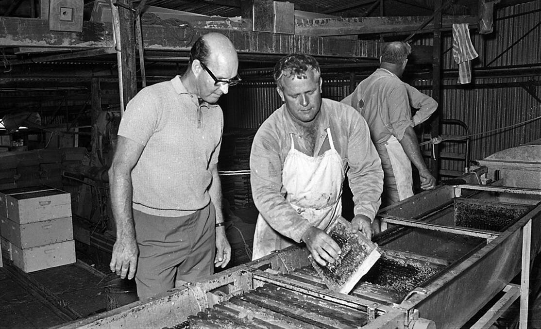 LOOK BACK: Processes in honey preparation at the factory of Pender Brothers, Maitland, in the 1960s. 