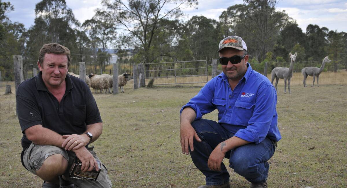 ATTACKS: Landholder Leroy Woods with Richard Ali, senior bio-security officer Hunter LLS, on the Woods family property at Lower Belford where dogs have attacked and killed sheep.