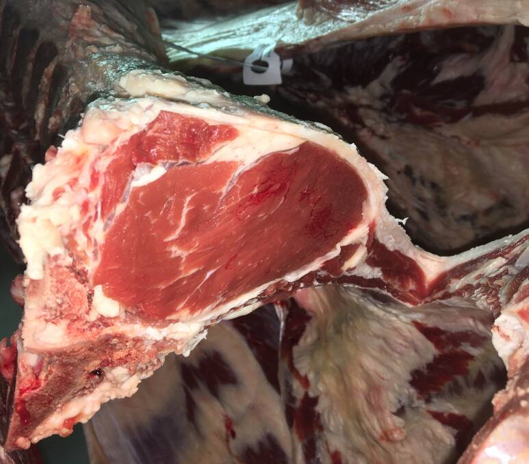 TOP CLASS: Rib eye of the champion carcase a purebred Angus at Wingham Beef Week.