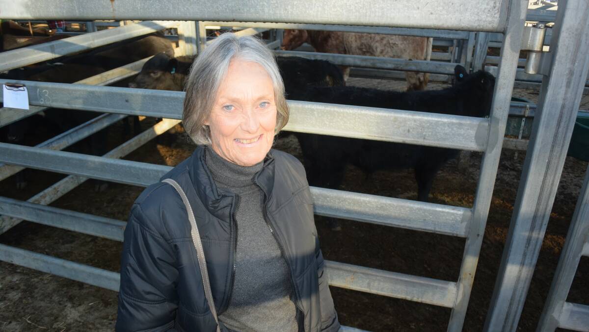 Lesley Leonard, Clybucca, with a pen of Angus, sired by a son of Adrosson Equator at the Kempsey store sale conducted by Kempsey Stock & Land.