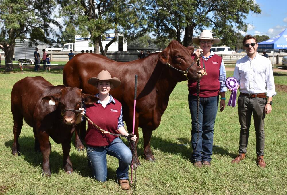 BEST IN SHOW: Leven Ophelia shown with her bull calf led by Kaite Roberts, Lyn Richards, Leven stud and Andres Bernal, finance manager, Spur Hill.