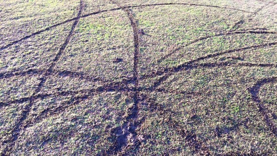 VANDALS: Vandals are believed to have driven cars and possibly motor bikes on Metford Oval in July 2016