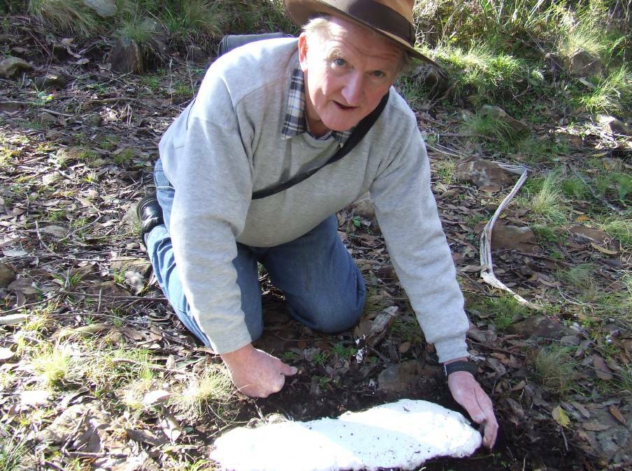 Bigfoot: Rex Gilroy found a suspected yowie footprint at Barrington Tops.