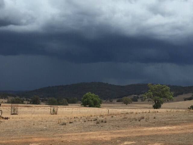 THE BIG DRY: Rachell and Arty Cox's farm at Owen's Gap, near Scone, received a little rain on Sunday and Monday.