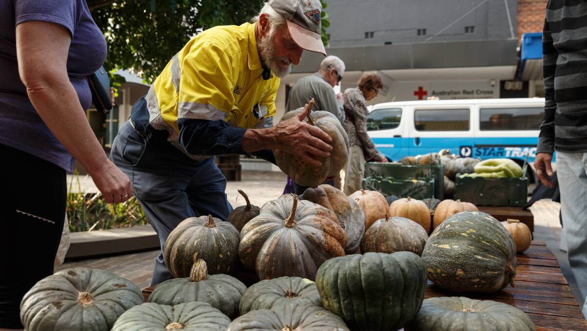 TOO BIG: Oakhampton farmer Austin Breiner with some of his pumpkins at Maitland produce market. Picture: Max Mason-Hubers