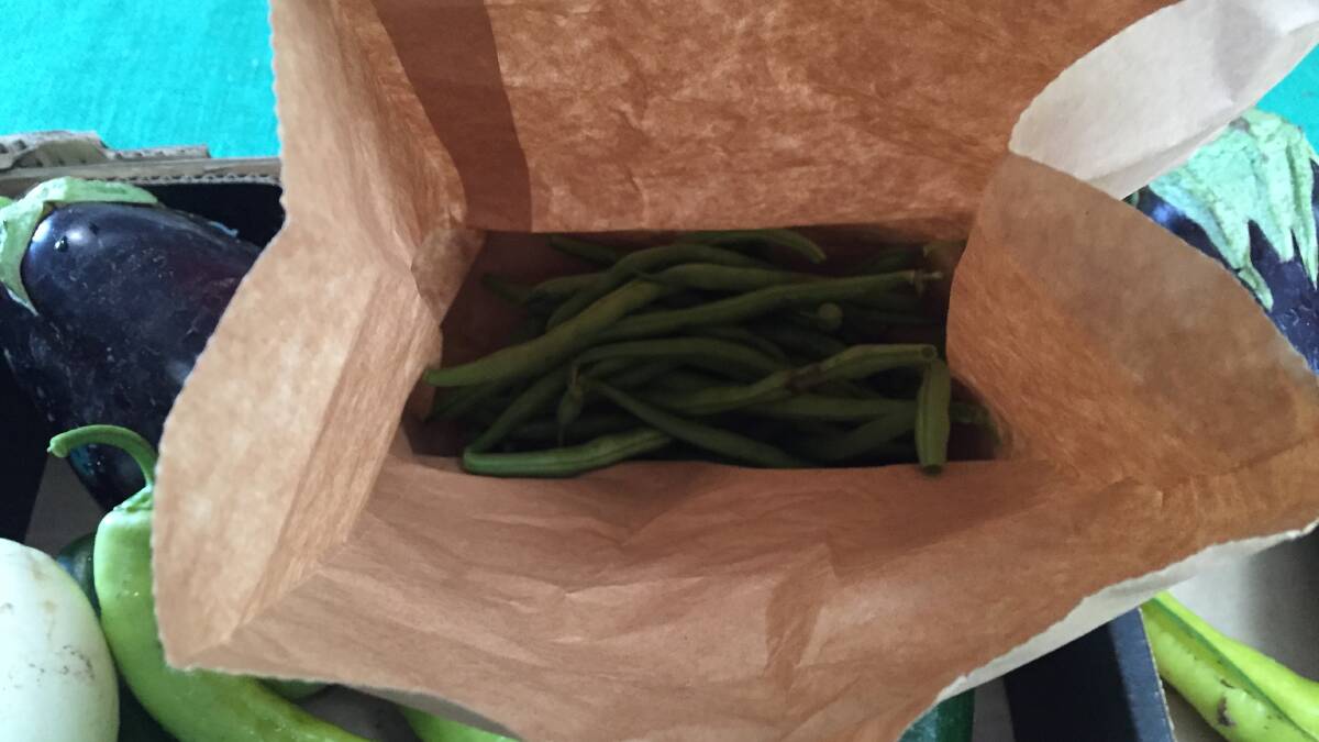 PRODUCE: Freshly picked beans. 
