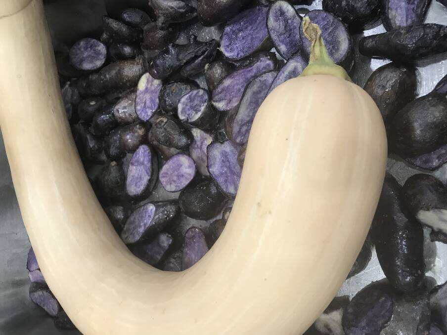 TASTY MIX: A trombocini and purple congo potato. 