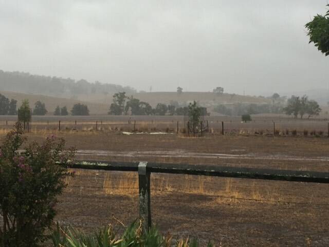 THE BIG DRY: Rachell and Arty Cox's farm at Owen's Gap, near Scone, received a little rain on Sunday and Monday. 