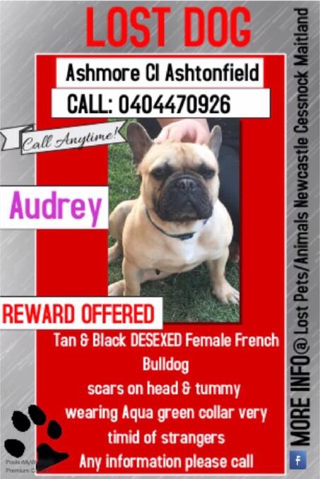 Oh Audrey, where are you? Please come home!