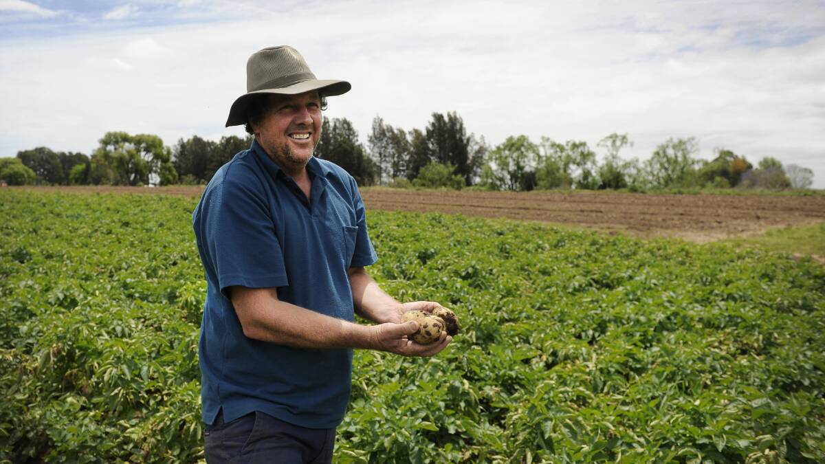 PADDOCK TO PLATE: Farmer Matthew Dennis with his potato crop at his farm in East Maitland. Picture: Belinda-Jane Davis
