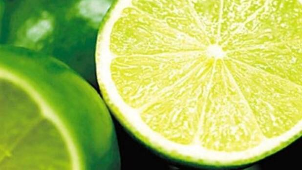 Buy organic limes at the earth market to help Hunter farmers battle the drought