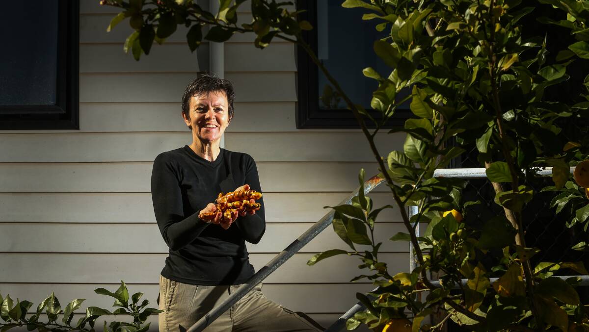 TURMERIC: Liz Griffiths will help Slow Food Hunter Valley leader and chef Amorelle Dempster cook up a turmeric curry on Thursday. Picture: Marina Neil.