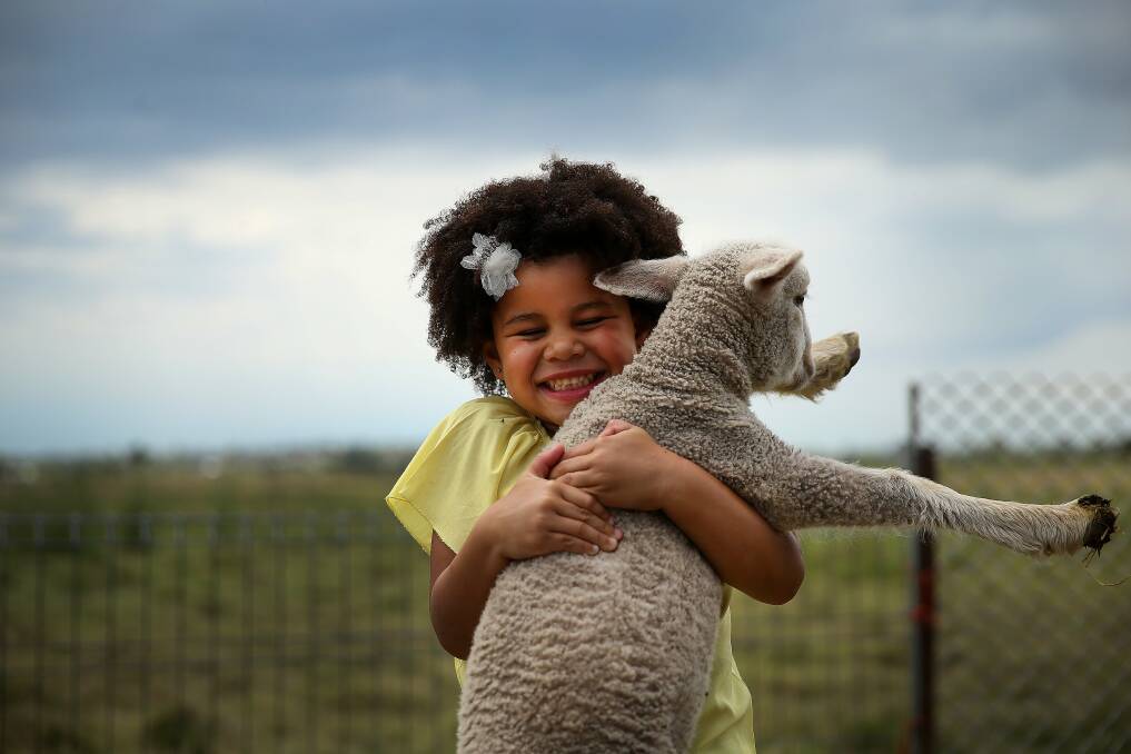 FARM: Lola Omotosho, 4, is looking forward to learning about agriculture at the paddock to plate themed Maitland Show. Picture: Marina Neil.