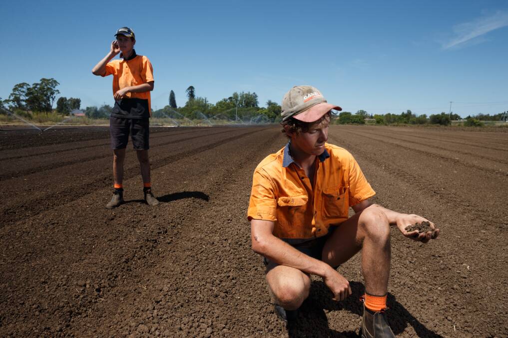 THE BIG DRY: Alex and Tom Woods were forced to irrigate - even though the salinity levels were too high - to try to put some moisture in the soil. Picture: Max Mason-Hubers