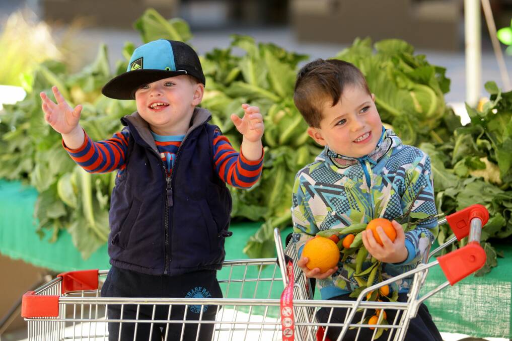FRESH FOOD: Sebastian, 2, and Riley Stace, 4, from East Maitland at the July Maitland produce market. Picture: Jonathan Carroll.