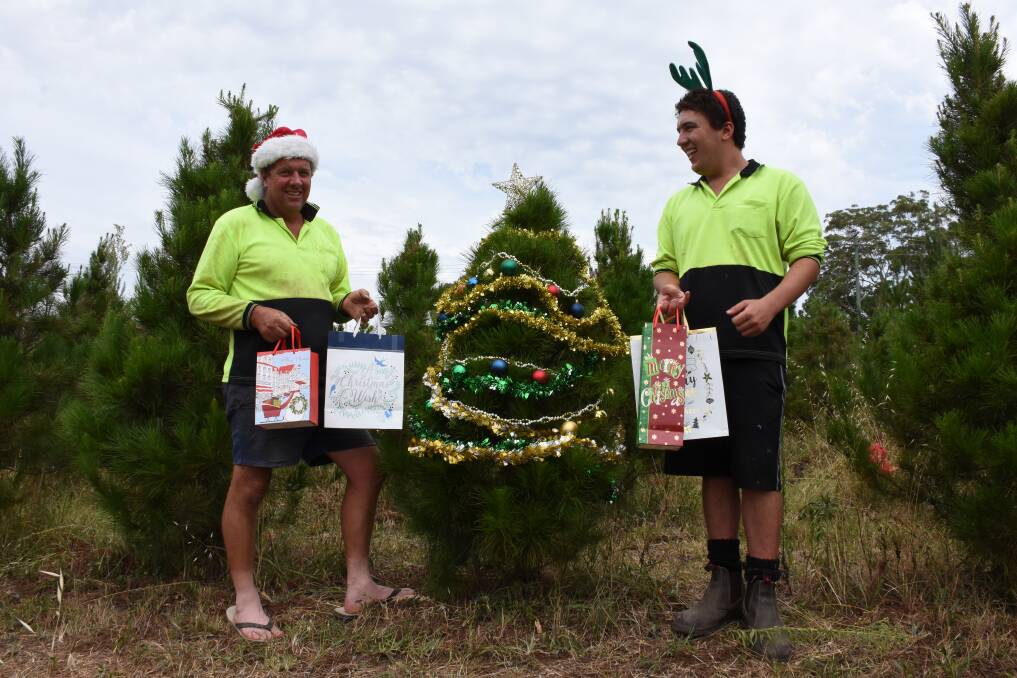 OH CHRISTMAS TREE: Farmer Matthew Dennis and his son Aiden with one of the pine trees at their farm. Picture: Belinda-Jane Davis