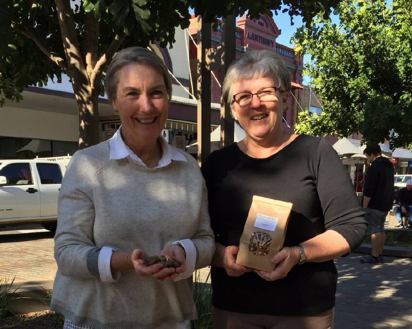 PECAN OFFERING: Denise Osborn, right, with her friend Dinah Stehr at the Slow Food Earth Markets Maitland in The Levee. Picture: Belinda-Jane Davis