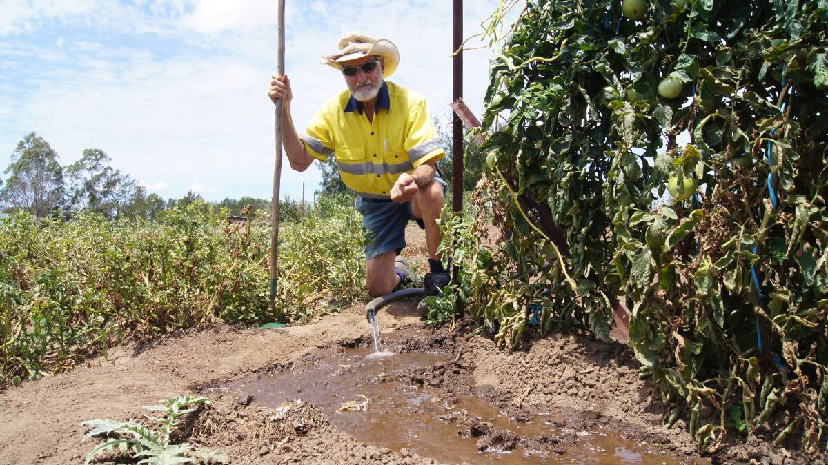 THE BIG DRY: Oakhampton farmer Austin Breiner has been carting water to keep his crops alive. Picture: Belinda-Jane Davis