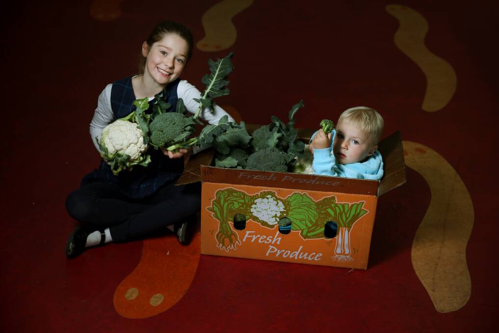 VEGGIE TIME: Siblings Lydia Affleck, 8, and Albert Affleck, 2, with some of the cauliflowers and broccoli. Picture: Marina Neil