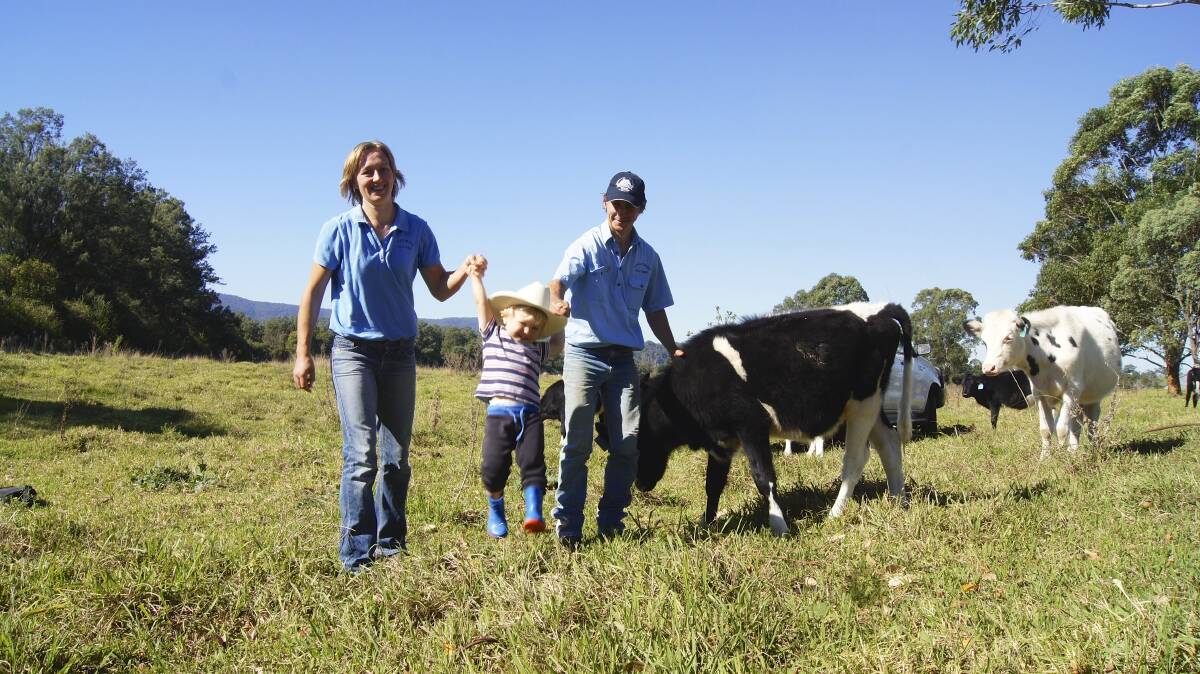 HELP: Emily and Matt Neilson with their son Joseph and two of the heifers they bred. Picture: BELINDA-JANE DAVIS