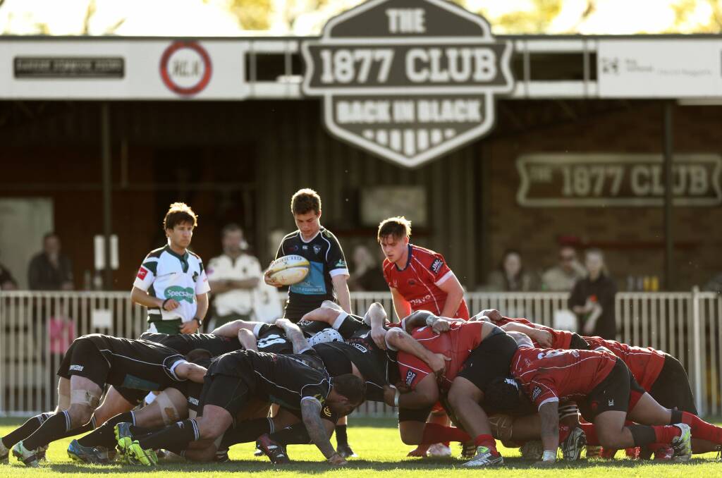 PACKING DOWN: Maitland halfback Ben Taylor prepares to feed a scrum in the Blacks' 32-20 loss to the Waratahs on Saturday. Picture: Marina Neil
