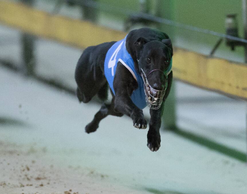 Mister Twister. Picture: GRNSW