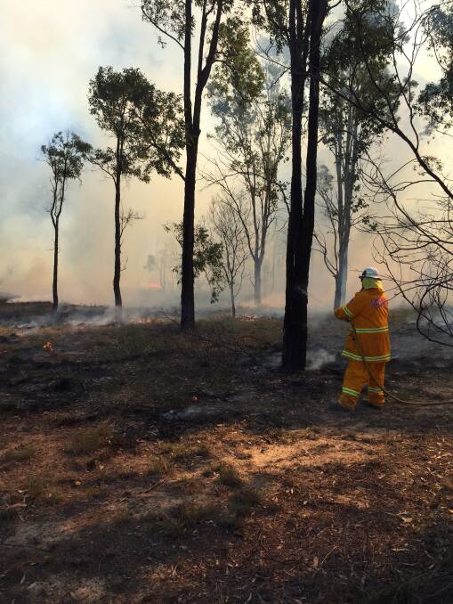Pictures: Lower Hunter RFS
