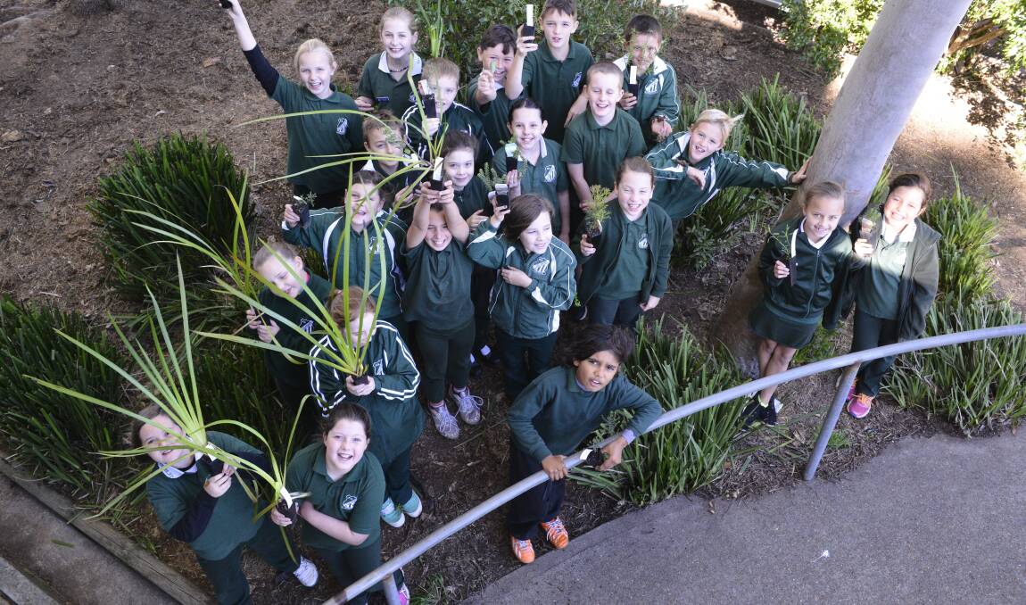 ENVIRONMENTAL: Telarah Public School 3/4K with their plants for Schools Tree Day on Friday, July 29.