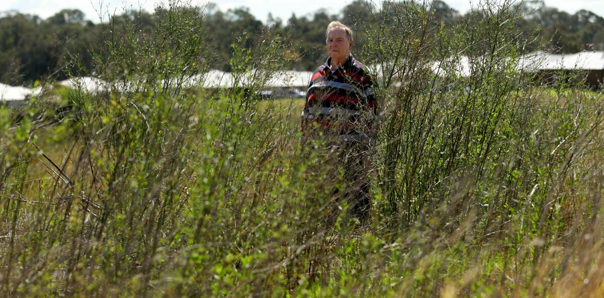 OVERGROWN: Maitland councillor Henry Meskauskas at the overgrown Waterworks Road property. Picture: Jonathan Carroll.