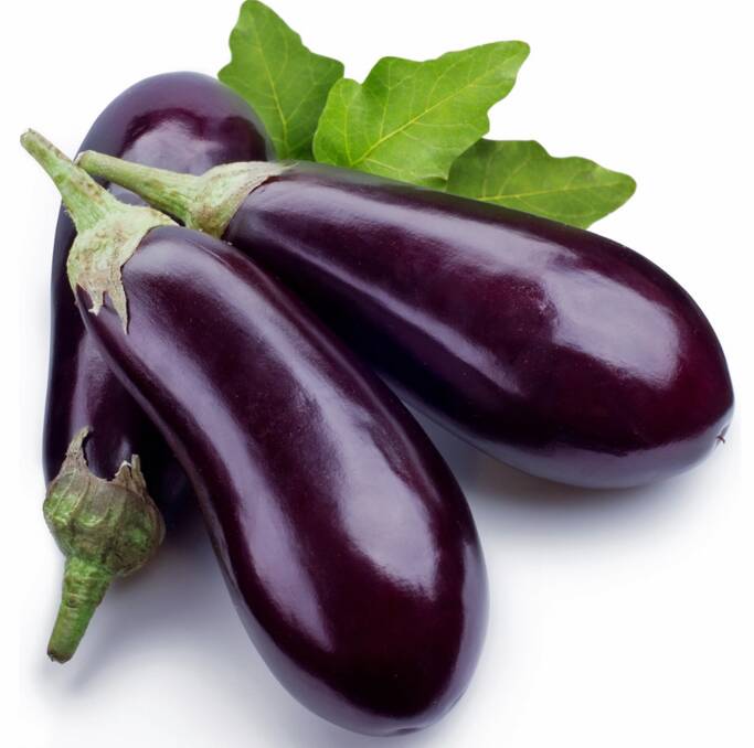 MANY POSITIVES: Eggplants are well-suited to the home vege patch, and offer a range of tasty food alternatives.