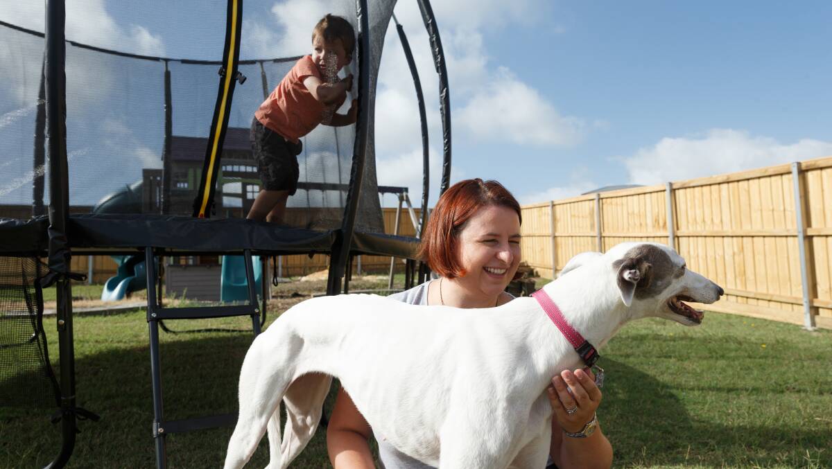HAPPY FAMILY: Aimee Martin and her son Ethan, 3, with their adopted greyhound Belle at their Bolwarra Heights home. Picture: Max Mason-Hubers.