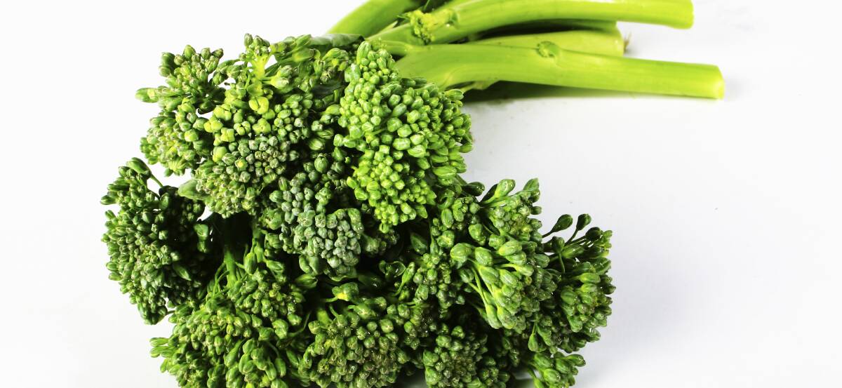 TASTY ALTERNATIVE: Broccolini is becoming increasingly popular. 