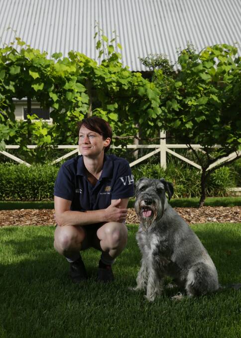 Nearly there: Gwyn Olsen, chief winemaker at Briar Ridge and Pepper Tree Wines, with her dog Spencer.